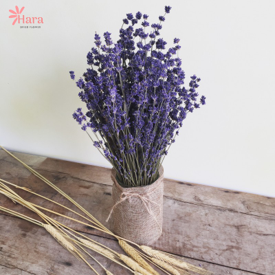 cắm hoa lavender khô
