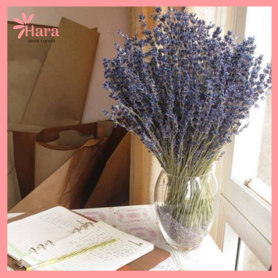 hoa lavender khô