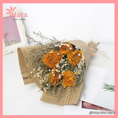 Hoa khô là gì