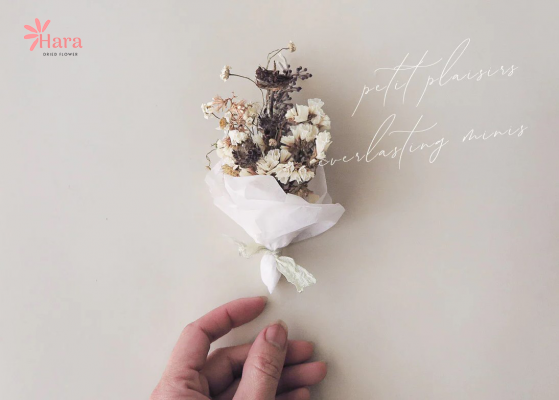 cách làm bó hoa khô mini