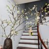 Tổ chim decor treo cành mận, cành đào