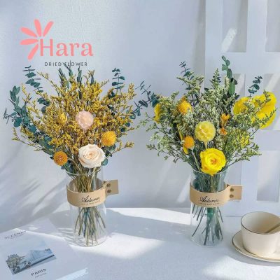 set-hoa-kho-de-ban-hara12