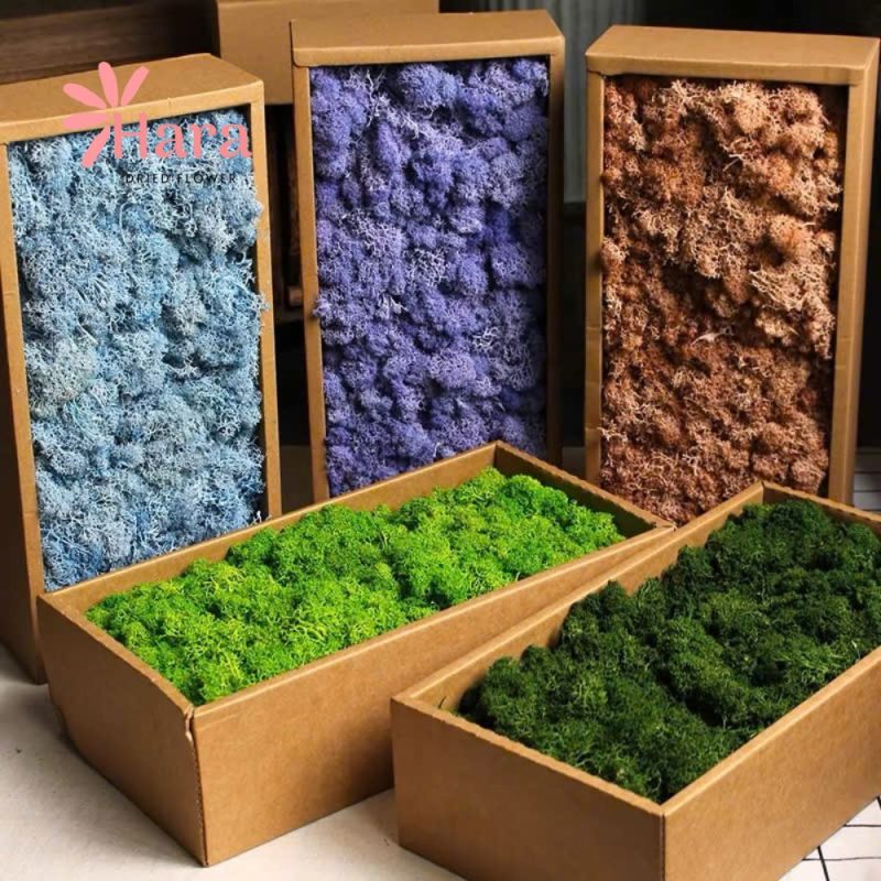 reu-tuan-loc-decor-trang-tri