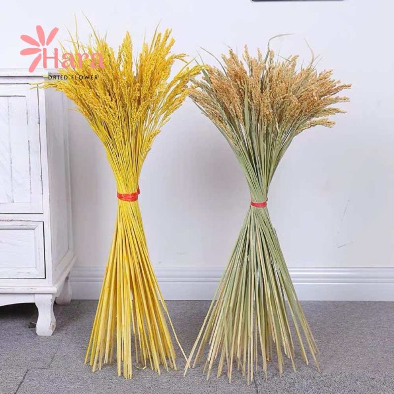 bong-lua-that-kho-11