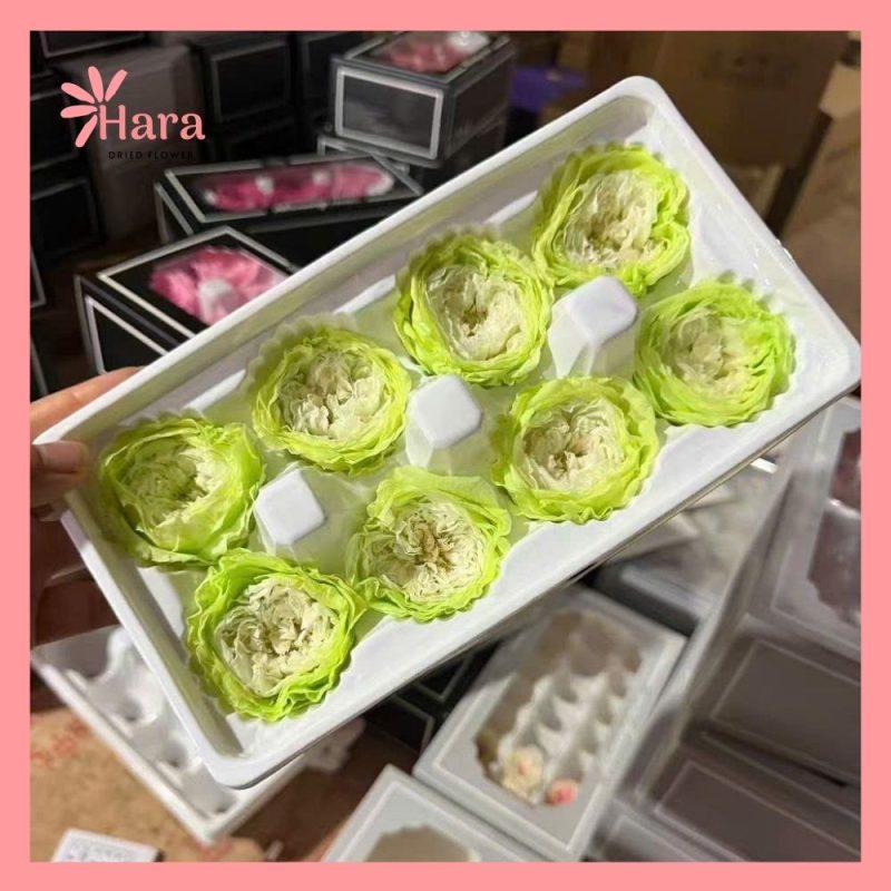 Hoa hồng david khô vĩnh cửu hộp 8 bông