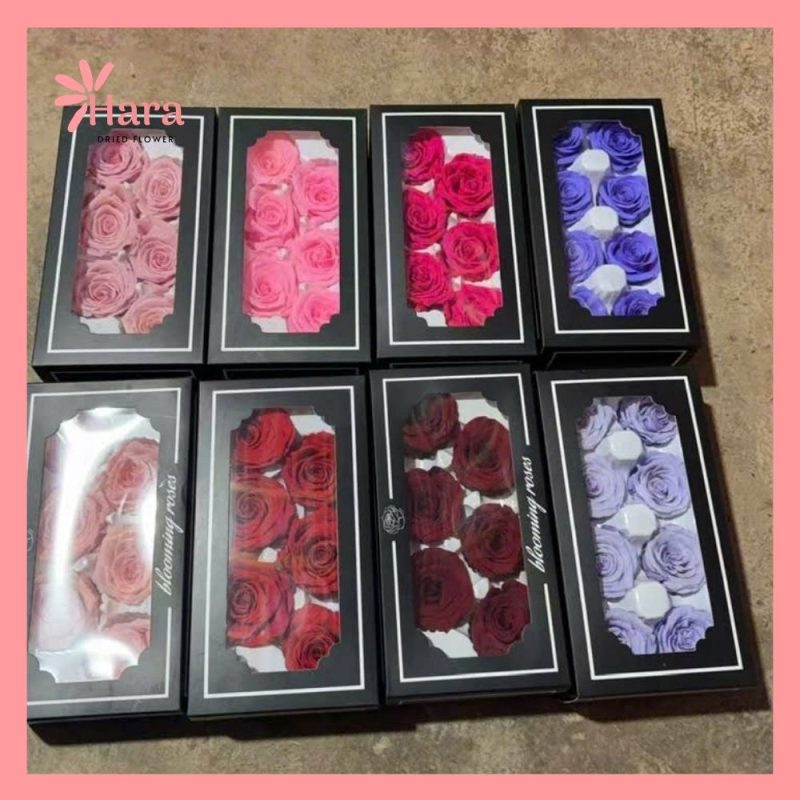 Hoa hồng khô Ecuador đỏ vĩnh cửu