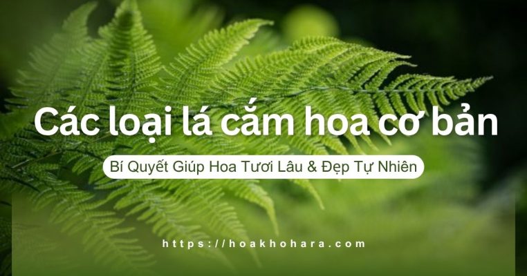 Các loại lá cắm hoa cơ bản