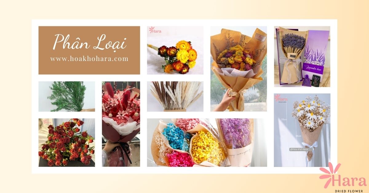 Một số loại hoa khô làm quà Noel nổi bật