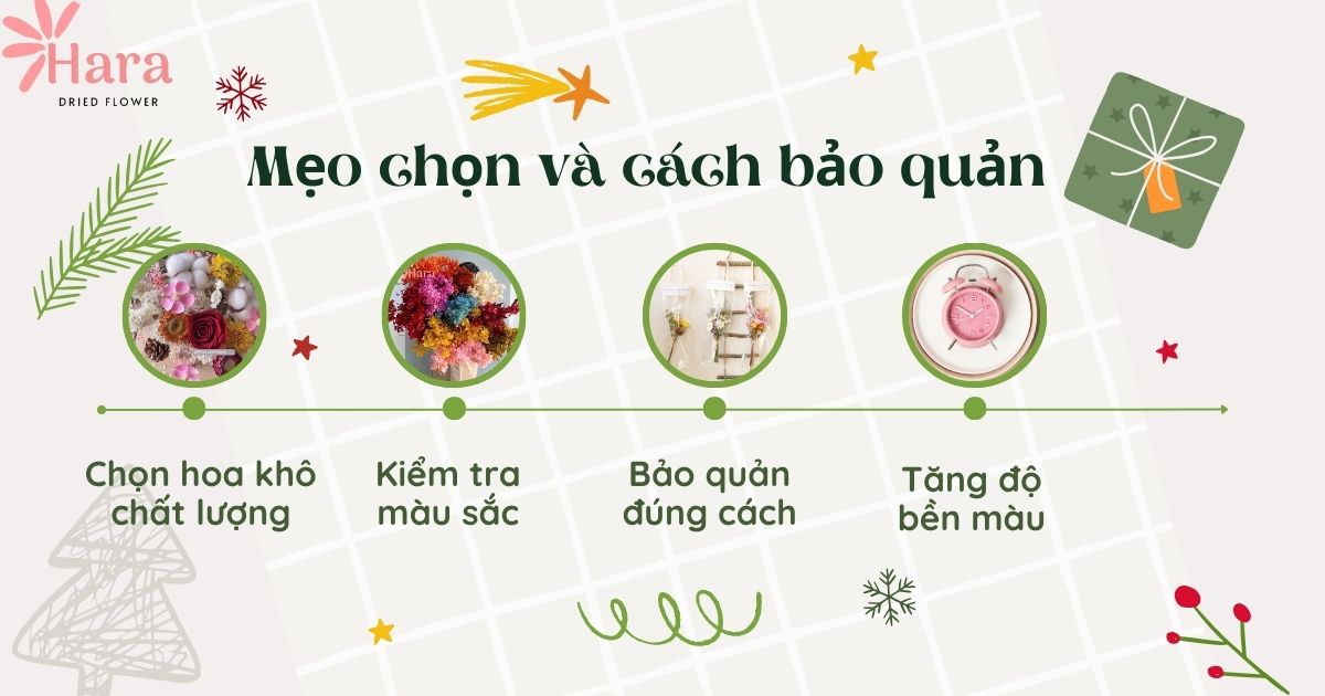 Cách chọn và bảo quản hoa khô quà tặng Noel bền lâu