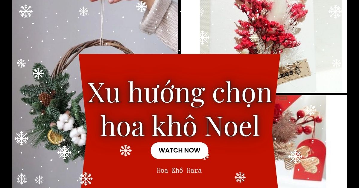 Địa chỉ mua hoa khô làm quà Noel chất lượng, uy tín nhất!