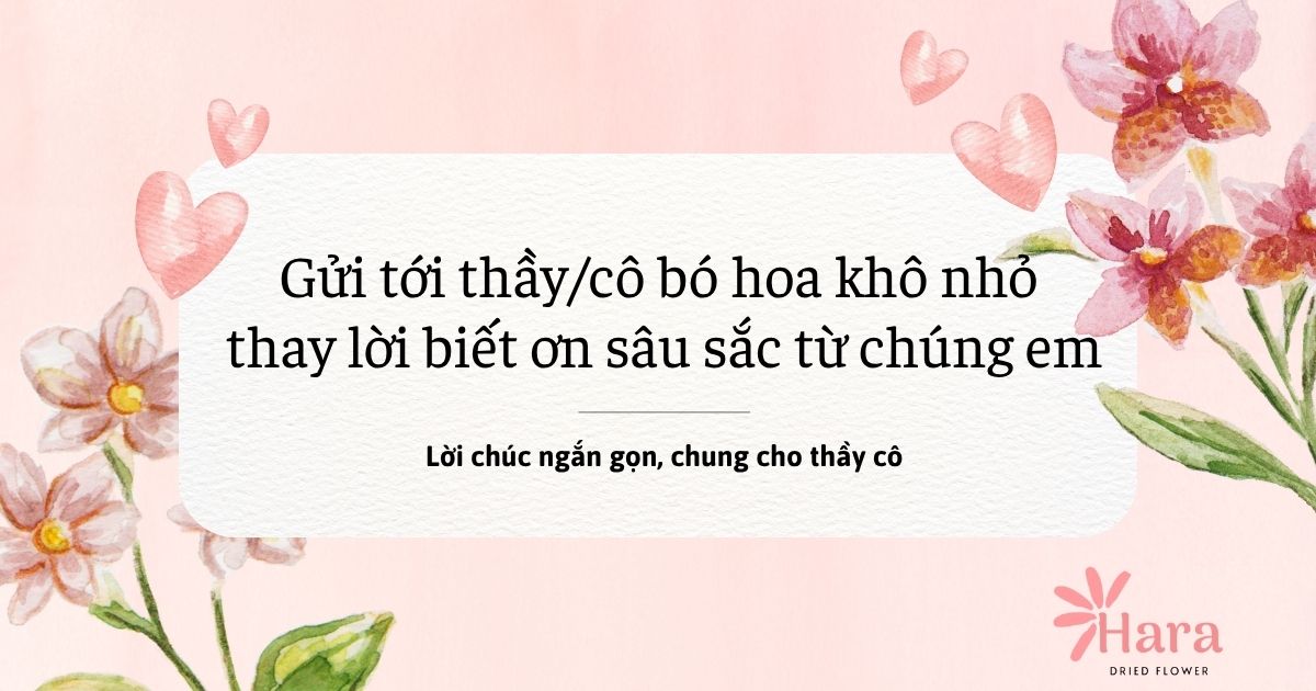 Lời chúc 20/11 ngắn gọn chung cho thầy cô