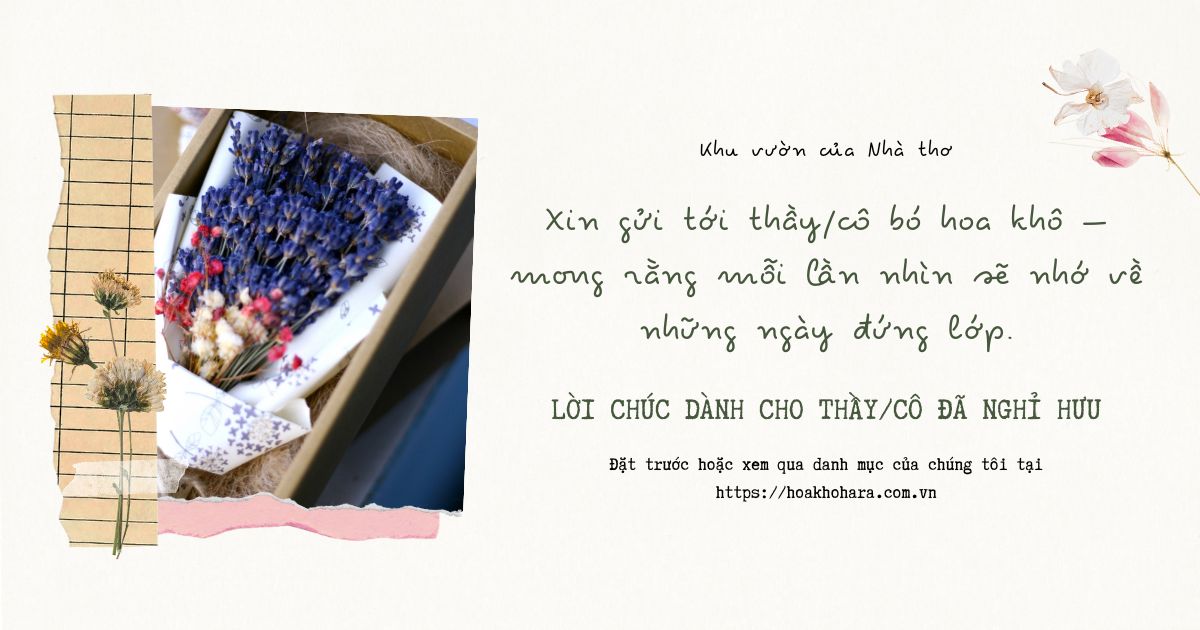 Lời chúc dành cho thầy cô giáo đã nghỉ hưu