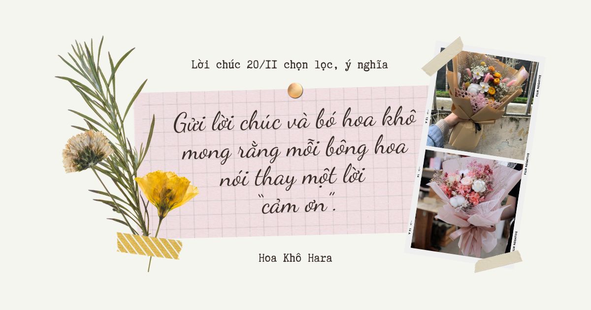 Lời chúc 20/11 ý nghĩa, chắt lọc