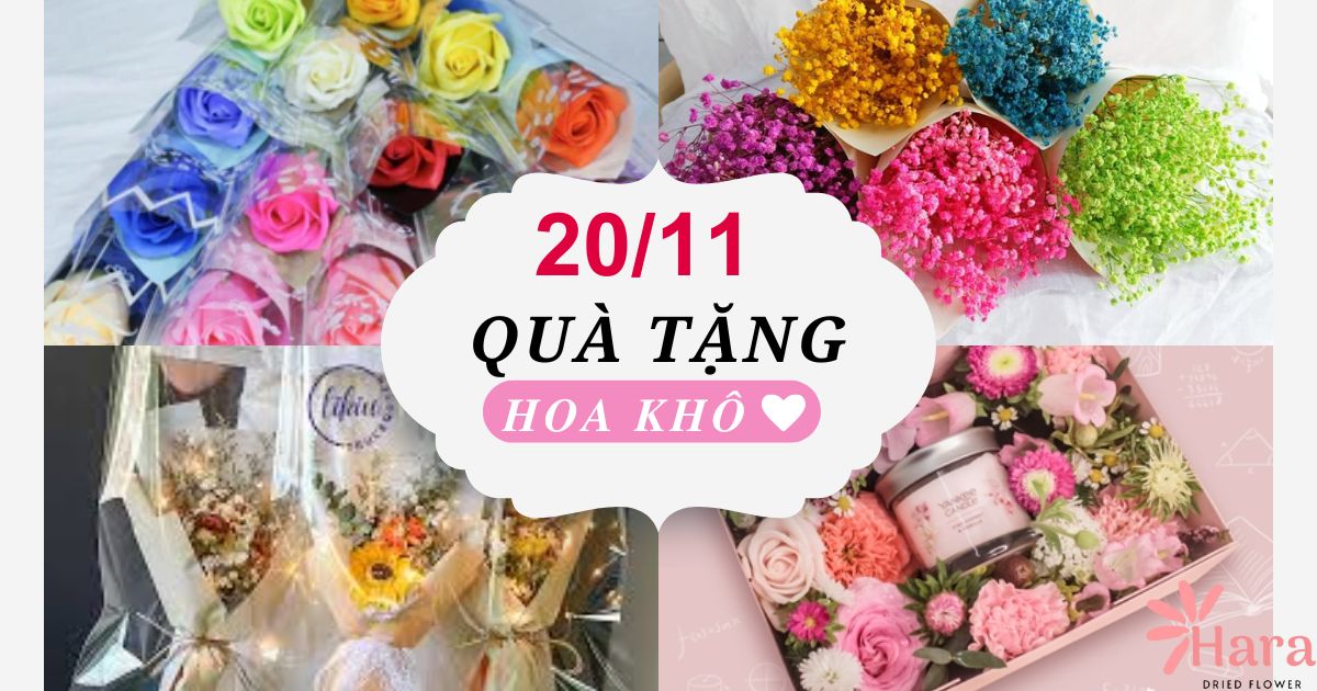Gợi ý quà tặng 20/11 từ hoa khô Hara