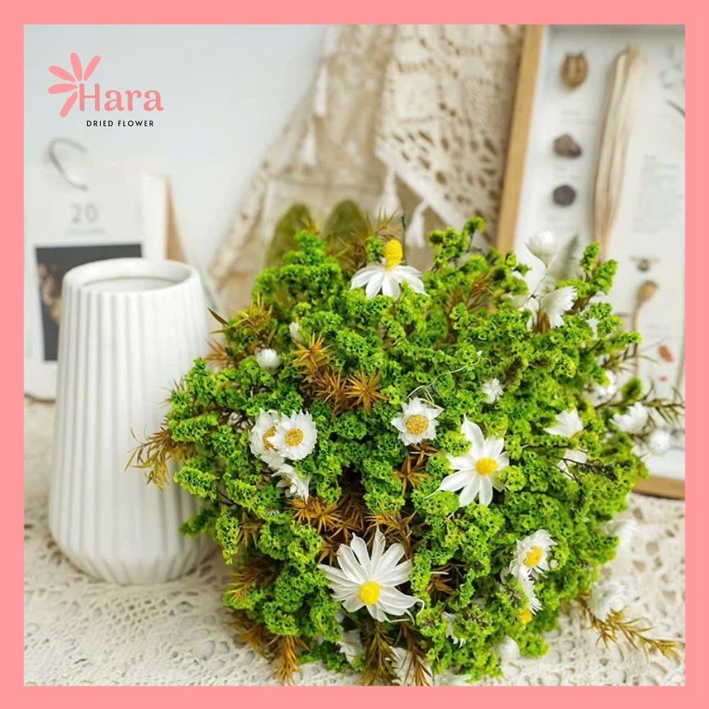 Bình hoa khô L020 (5)