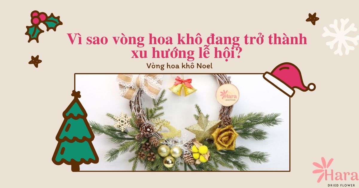 Lý do nào khiến vòng hoa khô trở thành điểm đặc trưng vào dip Noel?