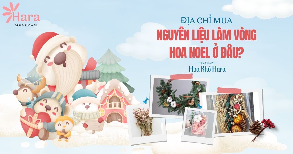 Hoa khô Hara - Địa chỉ cung cấp nguyên liệu làm vòng hoa khô uy tín!