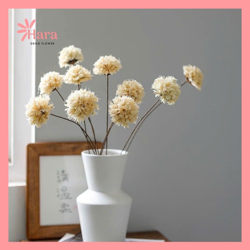 Hoa cẩm tú cầu bát giác ghép thủ công (1)