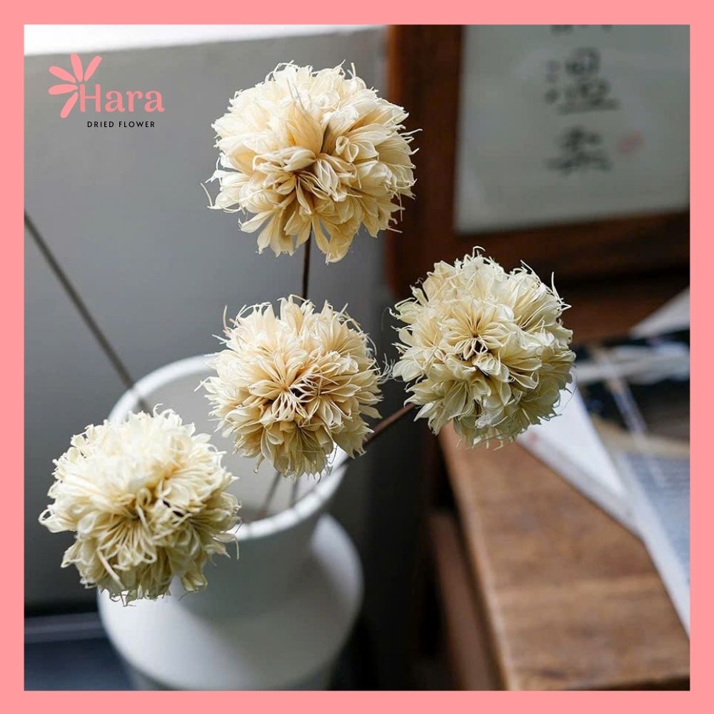 Hoa cẩm tú cầu bát giác ghép thủ công (2)