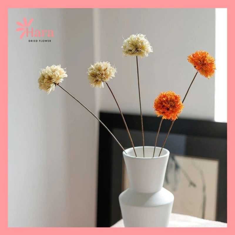 Hoa cẩm tú cầu bát giác ghép thủ công