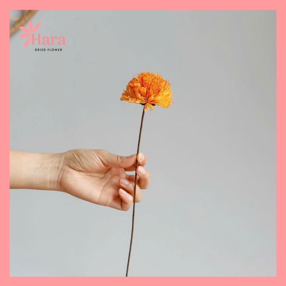 Hoa cẩm tú cầu bát giác ghép thủ công (5)