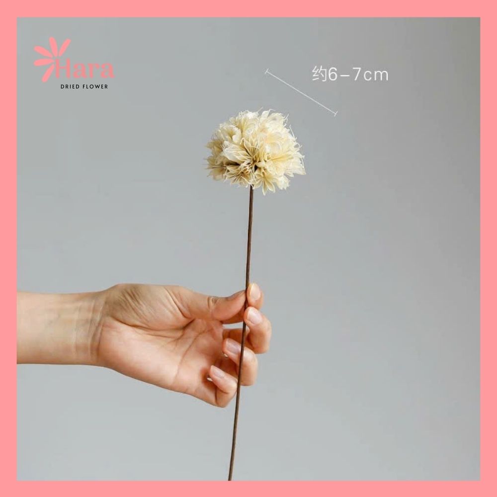 Hoa cẩm tú cầu bát giác ghép thủ công (7)