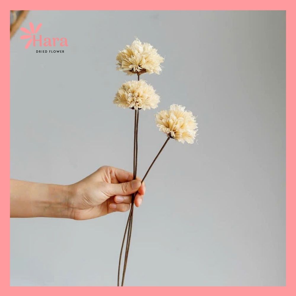 Hoa cẩm tú cầu bát giác ghép thủ công (8)