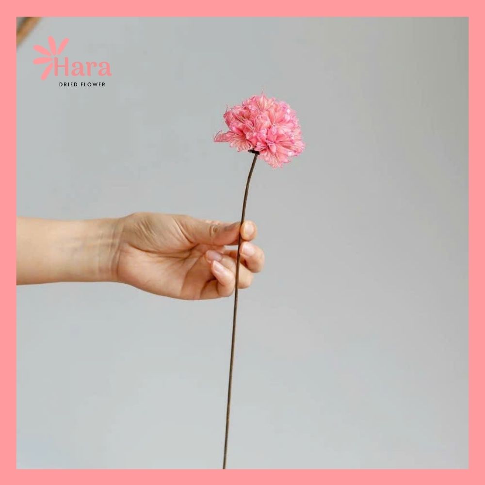 Hoa cẩm tú cầu bát giác ghép thủ công (9)