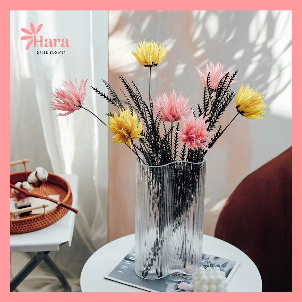 Hoa cúc lửa khô thủ công Hoa cúc lửa khô thủ công