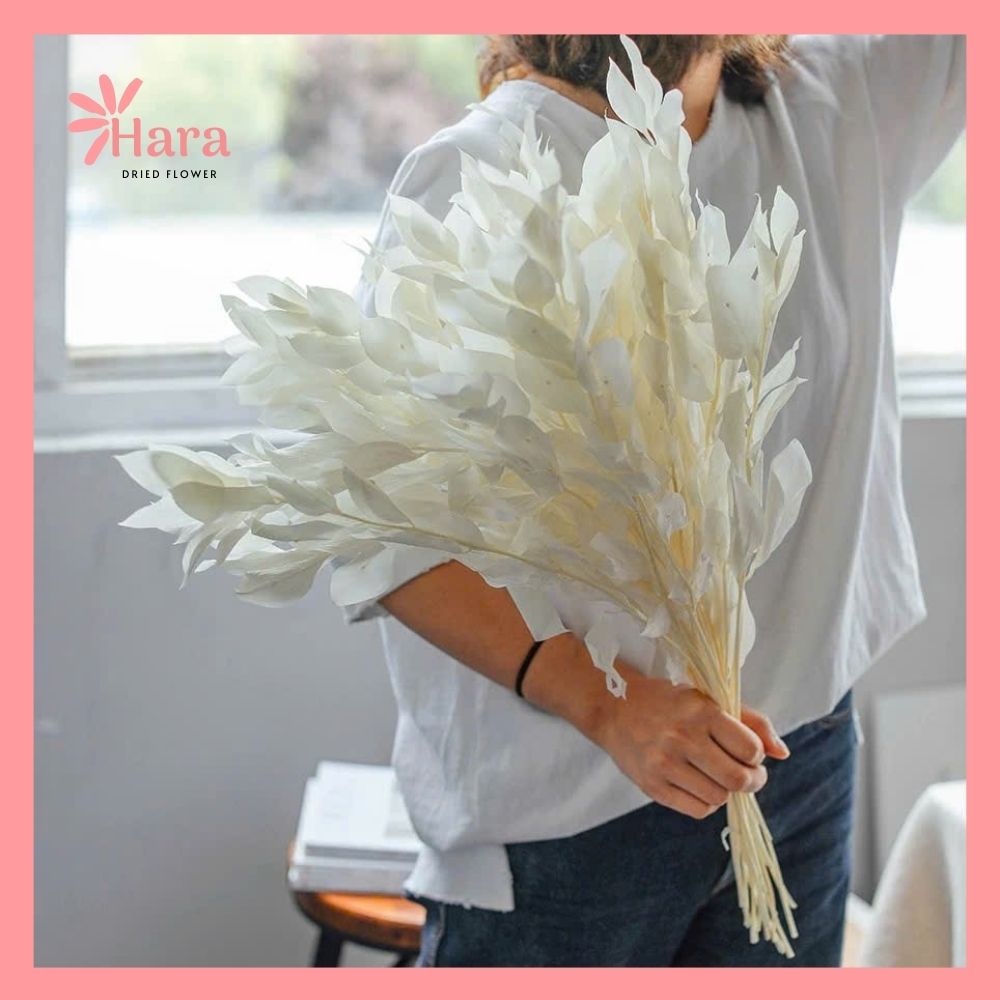 Lá chanh khô (4) Lá chanh khô decor