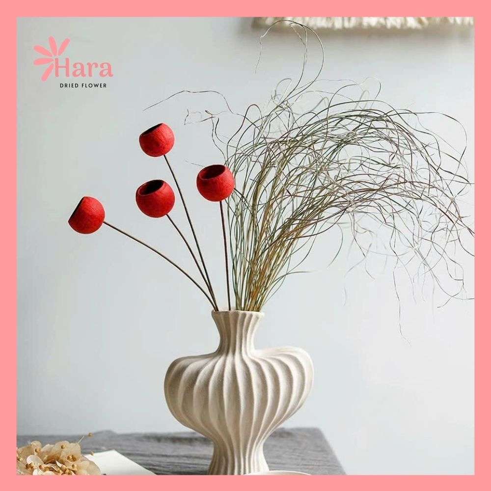 Quả vỏ cam gỗ khô (1)