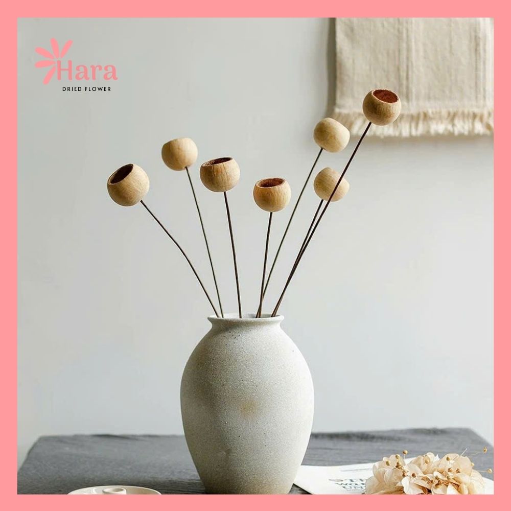 Quả vỏ cam gỗ khô (3)