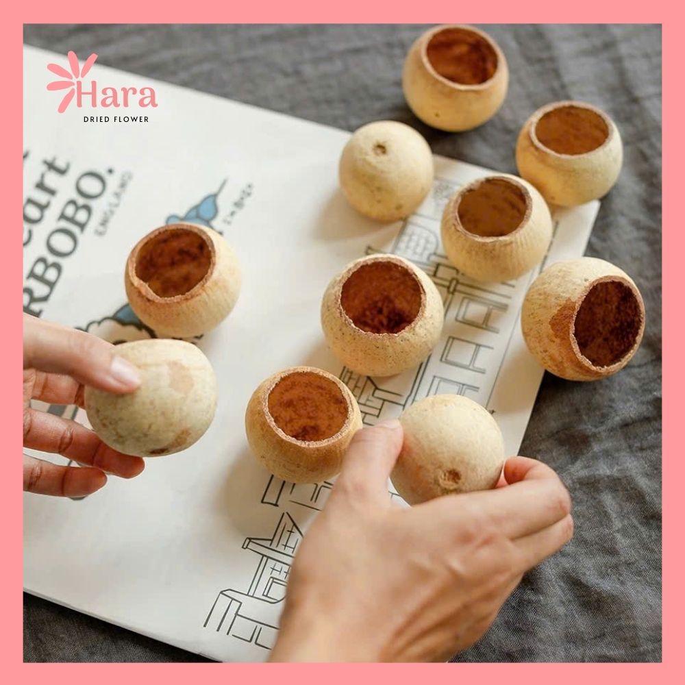 Quả vỏ cam gỗ khô (4)