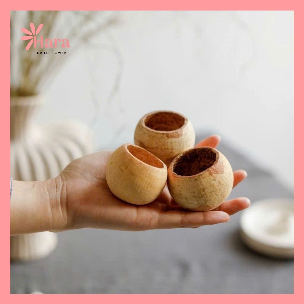 Quả vỏ cam gỗ khô (8)