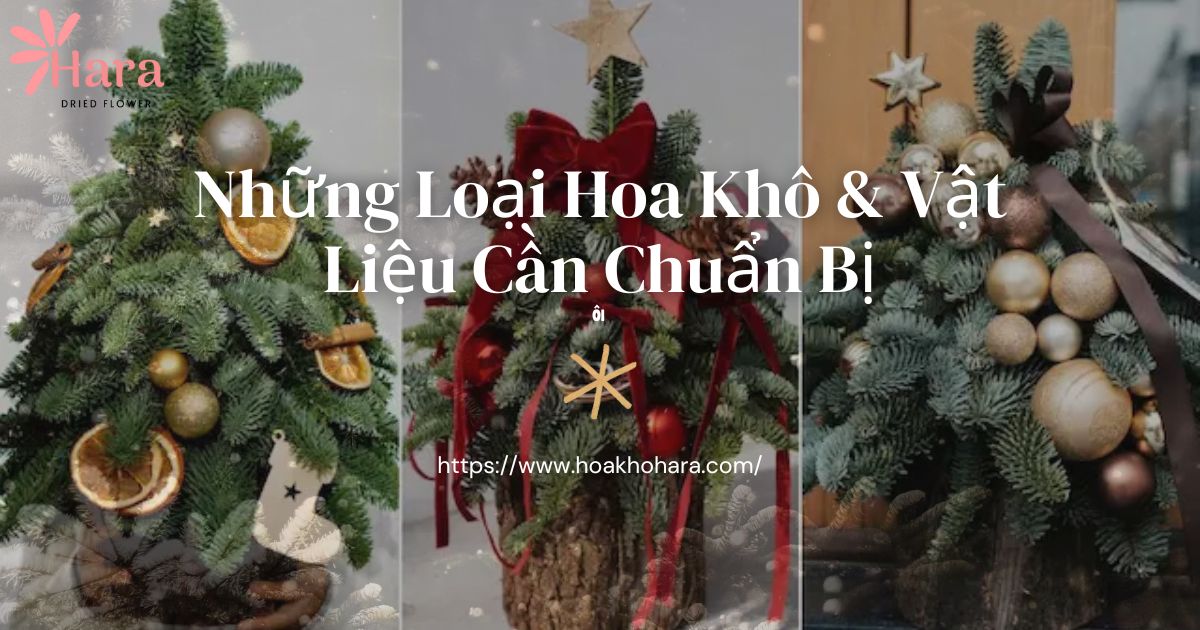 Những loại hoa khô và vật tư cần thiết để trang trí Noel với hoa khô