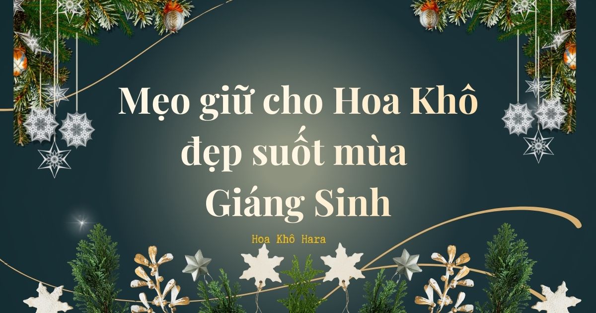 Các tuýp để giữ cho hoa khô trang trí giáng sinh bền lâu