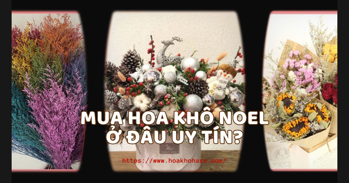 Địa chỉ cung cấp hoa khô chất lượng, uy tín