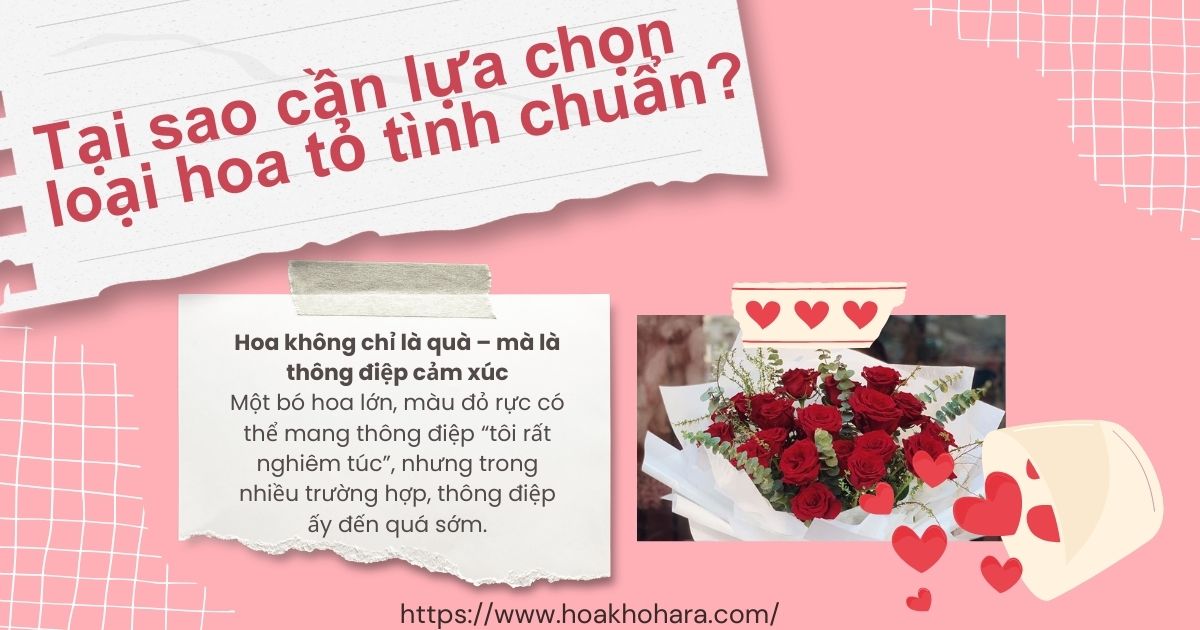 Lý do cần biết để lựa chọn hoa khi tỏ tình cho phù hợp