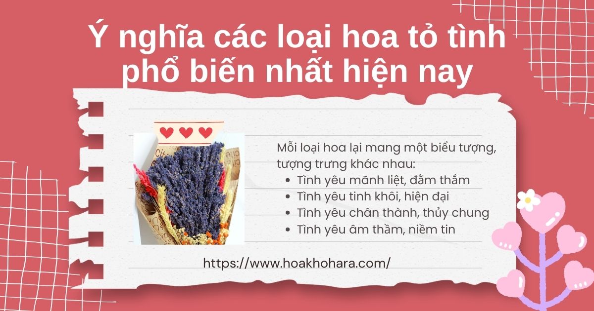 Ý nghĩa cảm xúc mà mỗi loại hoa đem lại khi tỏ tình