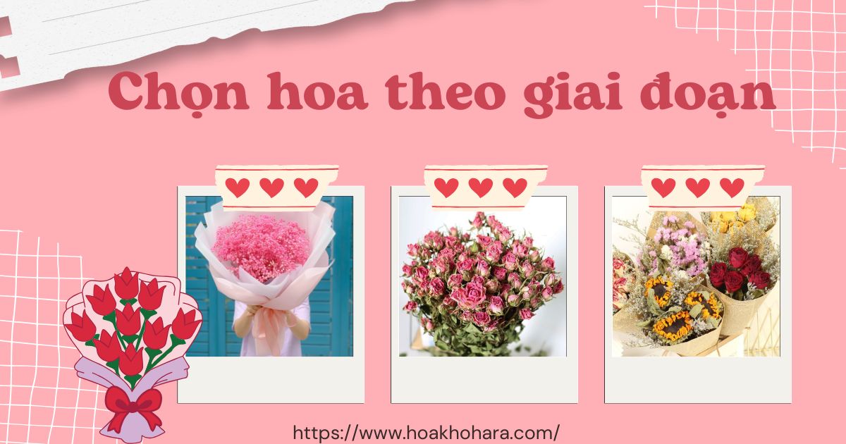 Lựa chọn loại hoa tỏ tình theo giai đoạn mỗi quan hệ