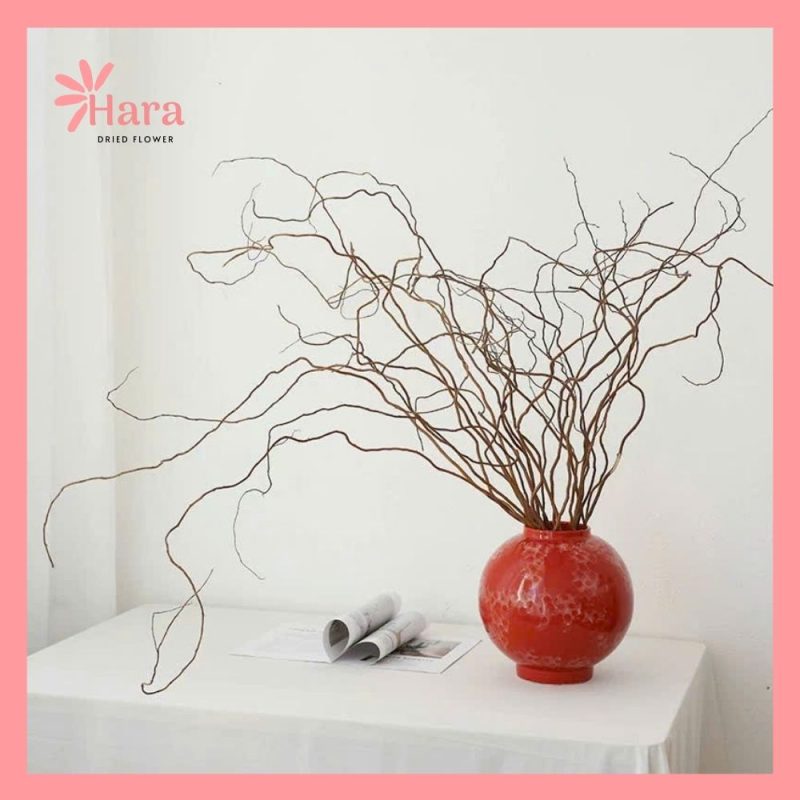 Cành Liễu Rồng Khô (Salix Khô)