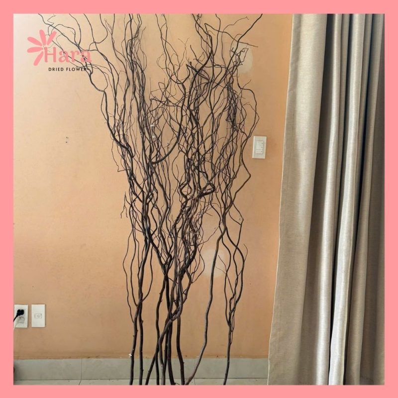 Cành Salix Khô Loại To