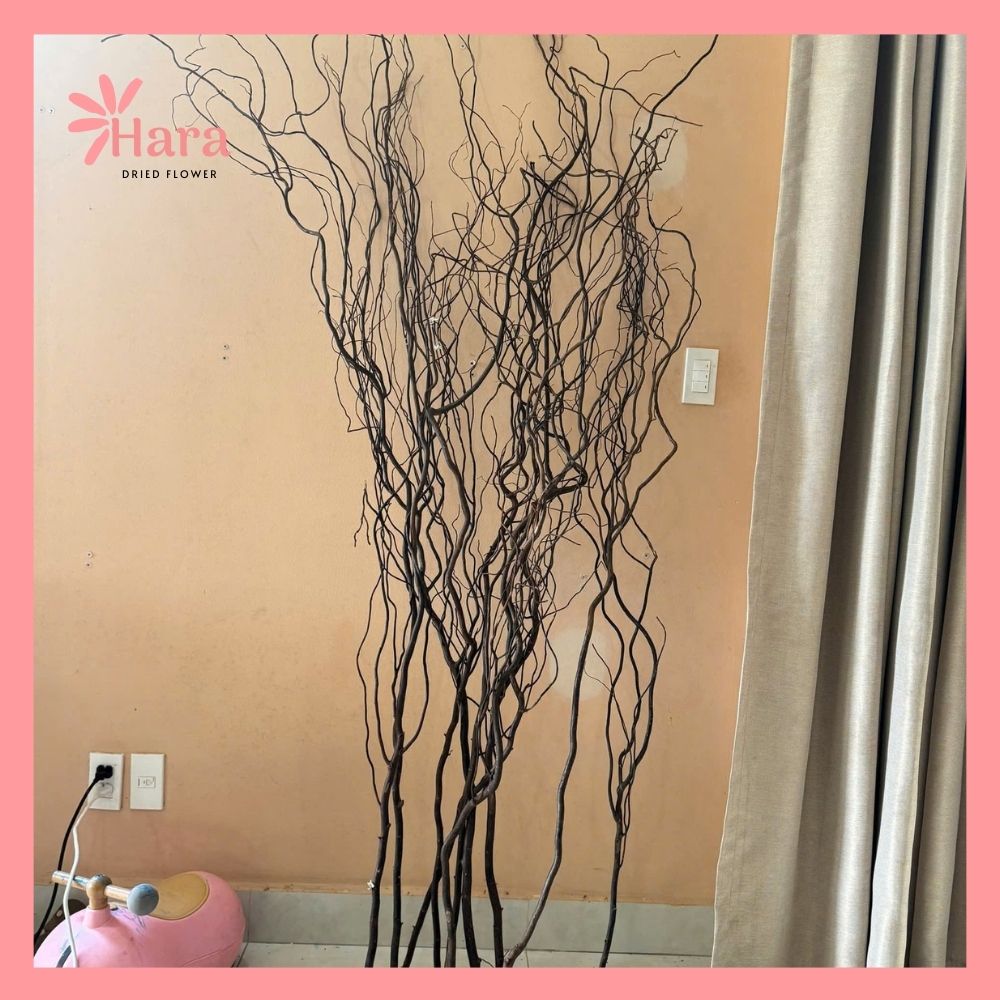 Cành salix khô to (2)