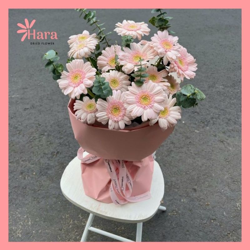 Hoa đồng tiền với ý nghĩa tài lộc, thành công