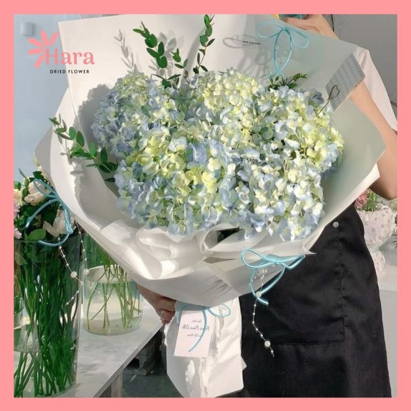 Hoa cẩm tú cầu với ý nghĩa chiều sâu cảm xúc