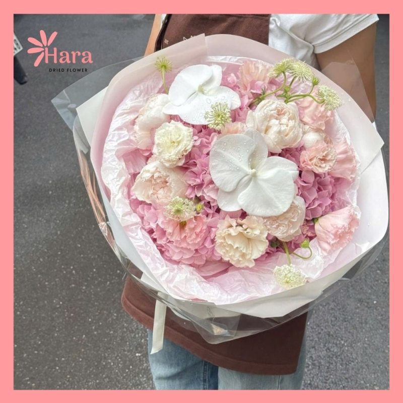 Hoa lan tặng đồng nghiệp thể hiện sự trân quý