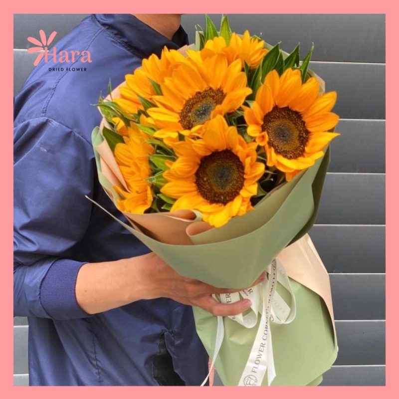 Hoa hướng dương