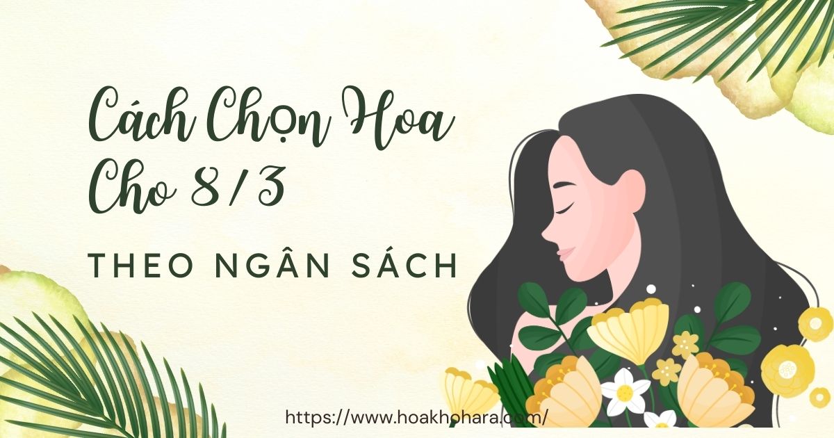 Cách lựa chọn hoa 8/3 theo ngân sách hiện tại