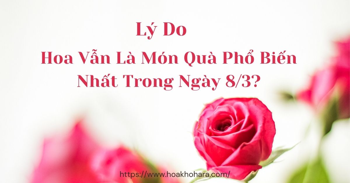 Lý do hoa vẫn là món quà phổ biến nhất cho ngày 8/3