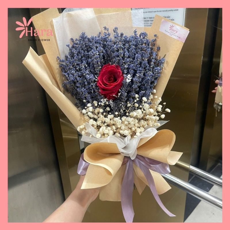 Bó hoa khô lavender Hara51
